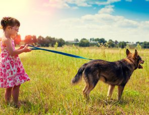 Little girl with big dog walking on the meadow
